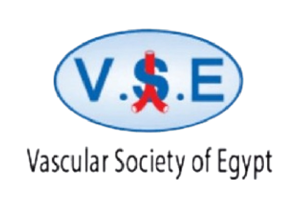 V.S.E